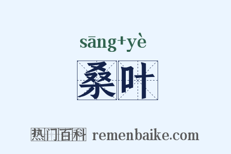 桑叶是什么意思的图片